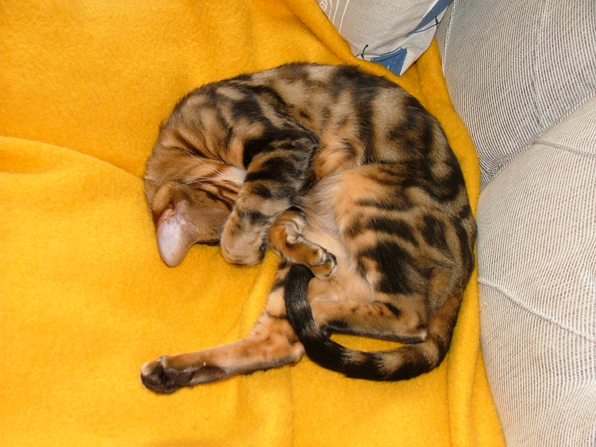 DSCF6933.JPG