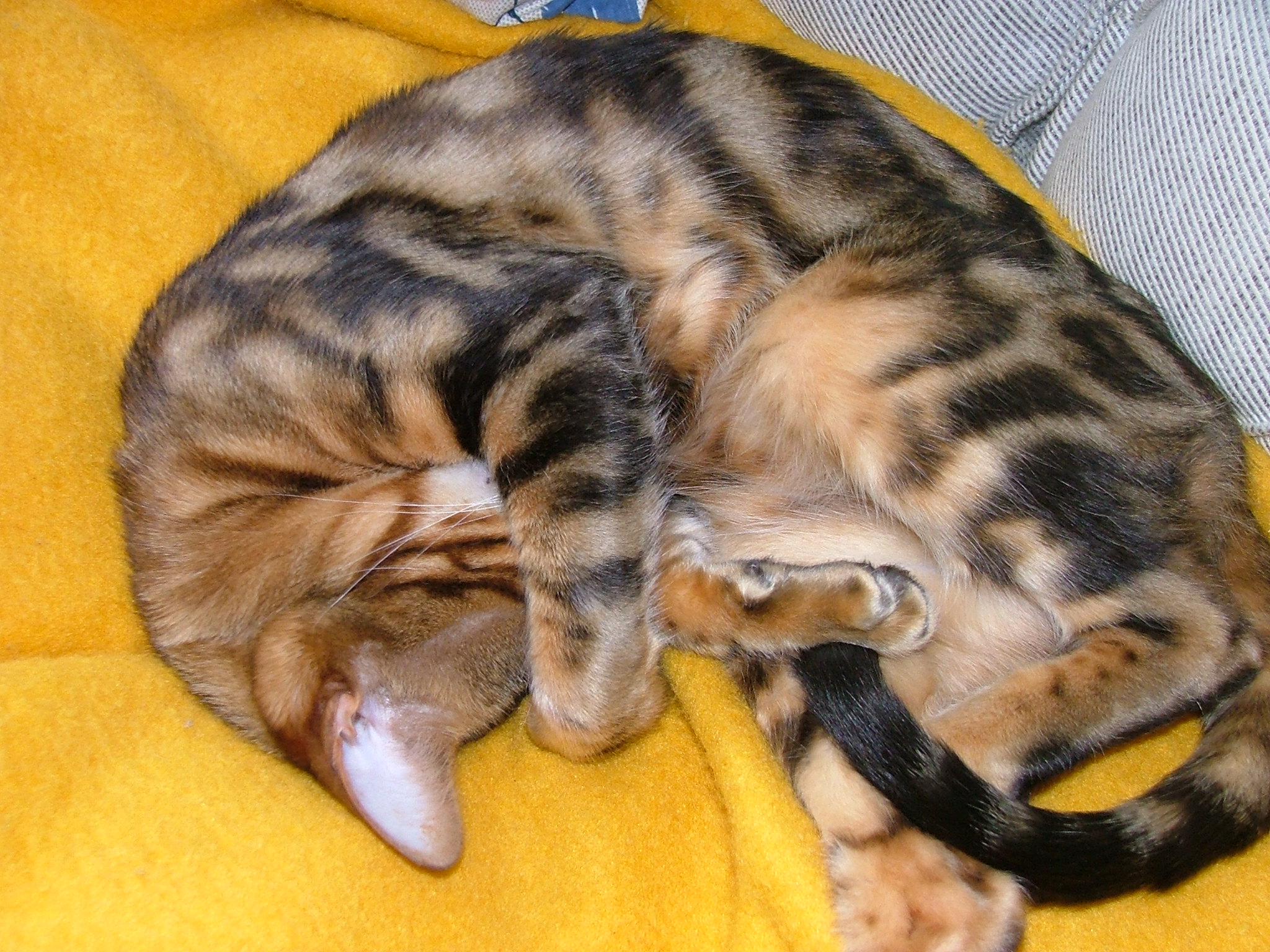 DSCF6934.JPG