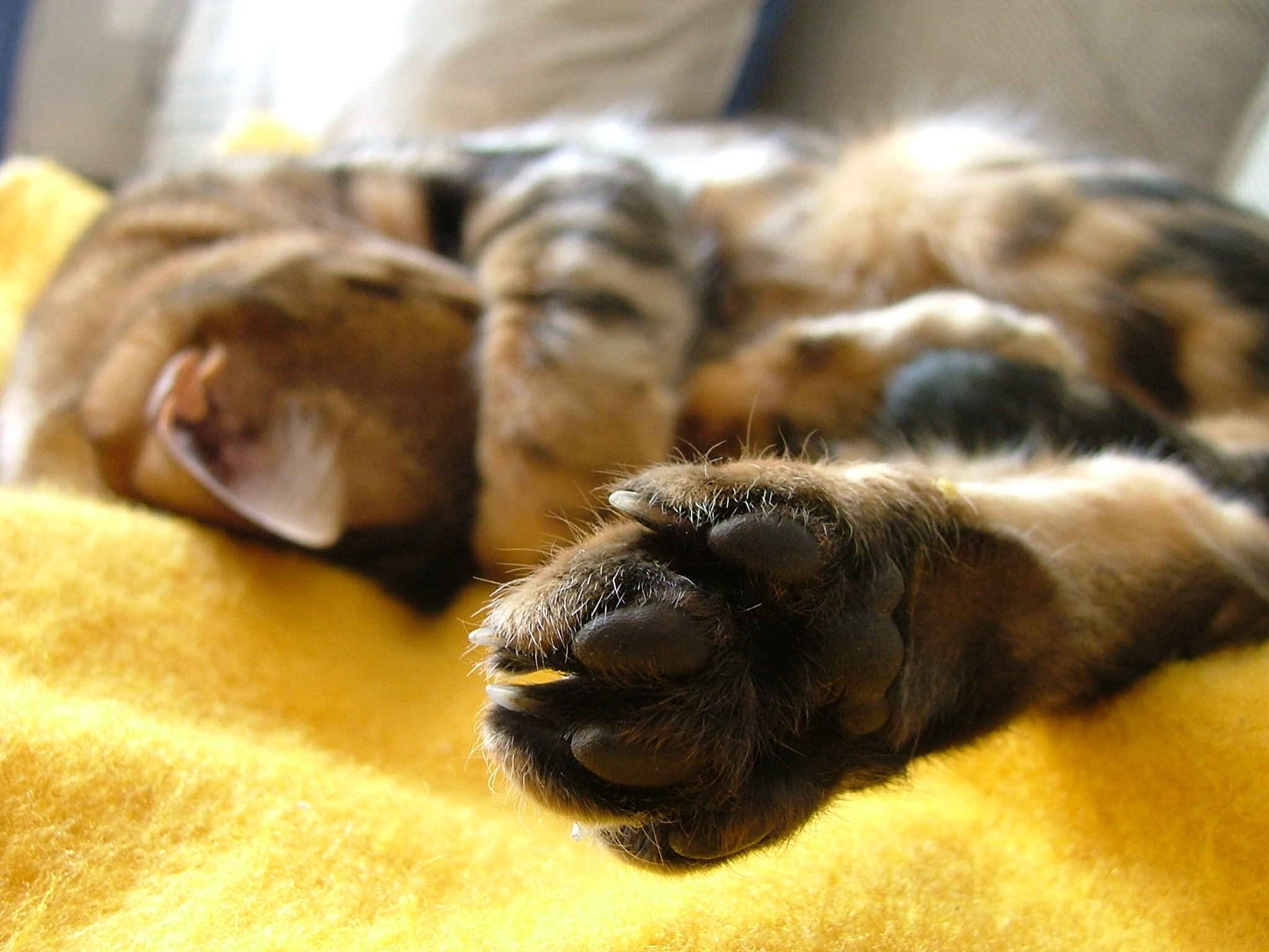 DSCF6936.JPG