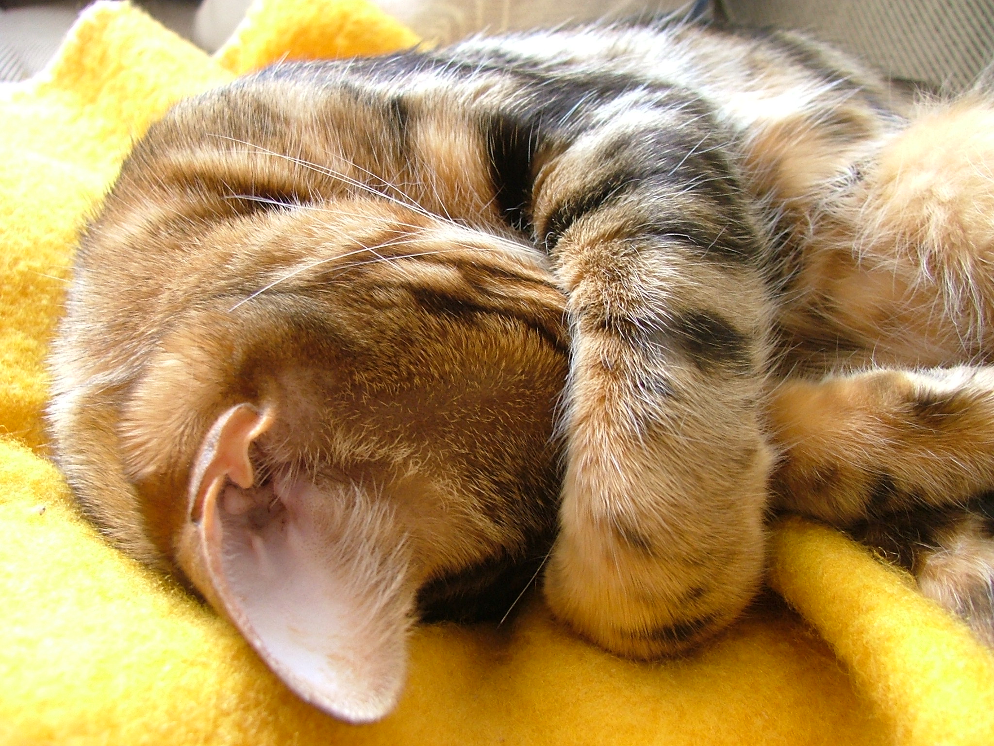 DSCF6937.JPG