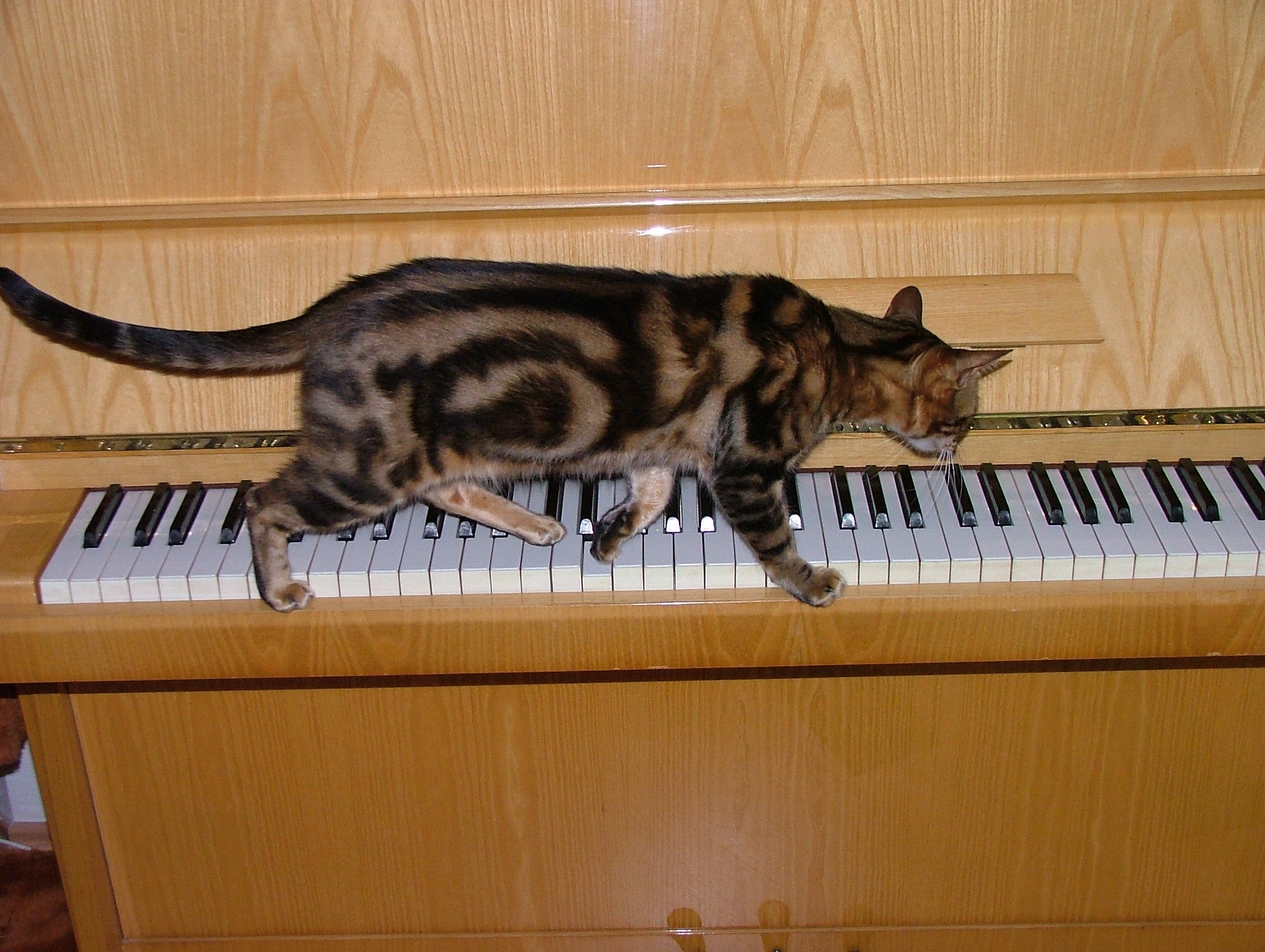 DSCF6331.JPG